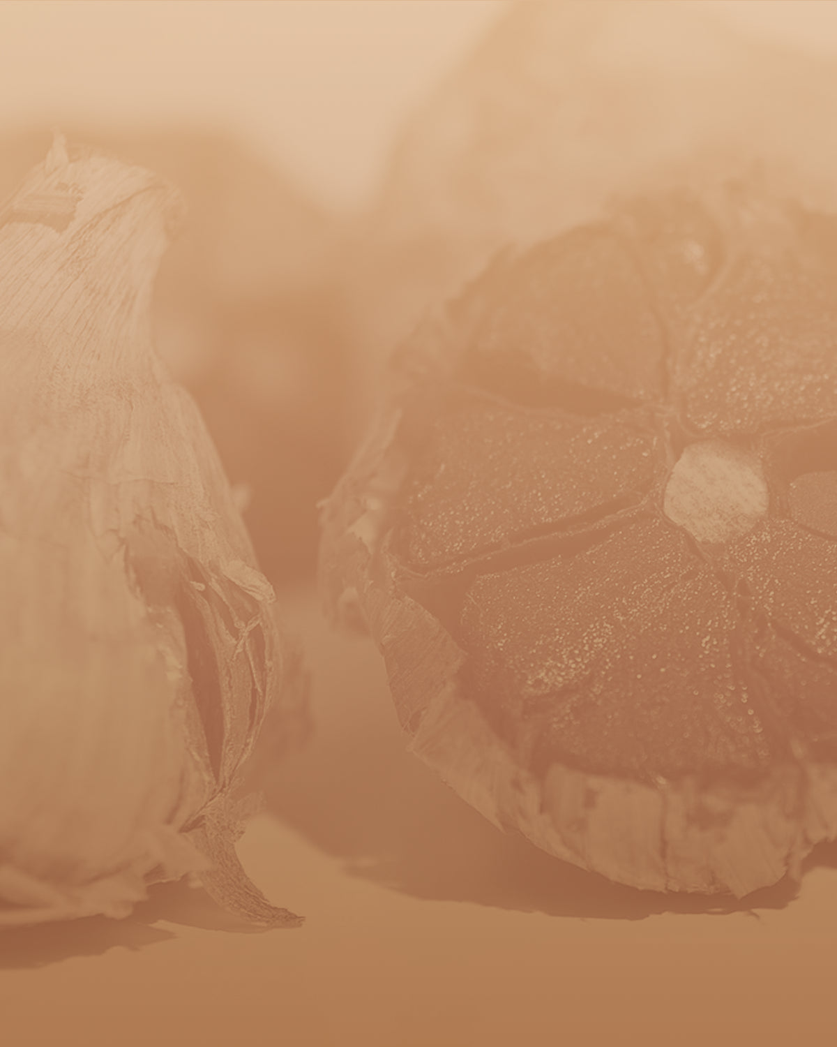 Aged garlic that science has been studying for 30 years